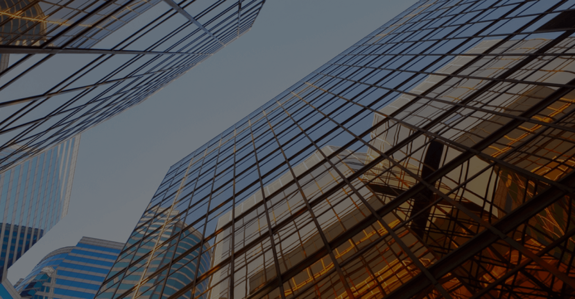 公司架构 - 威廉希尔williamhill集团 - 凝聚康